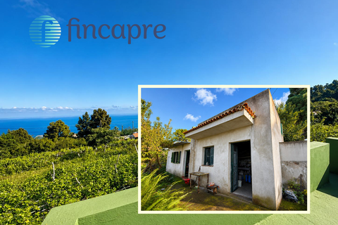 Finca in La Florida, Tenerife - Foto 1