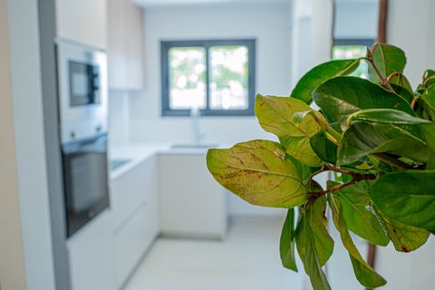 Lejlighed i Javea, Alicante, Javea - € 470.000 | Ref: 7626 - foto 33