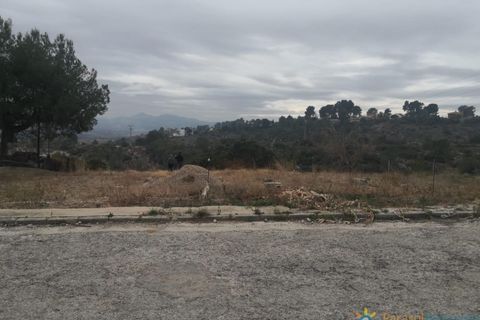 Terra a Alberic, Valencia, Alberic - € 39.000 | Ref: PNPT0024 - foto 4