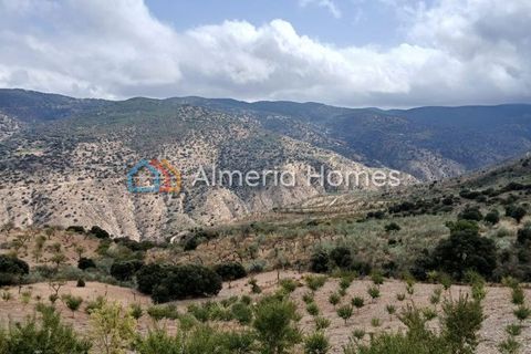Landejendom i Sierro, Almeria, Sierro - € 175.000 | Ref: IX-14472 - foto 20