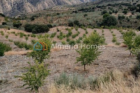 Landejendom i Sierro, Almeria, Sierro - € 175.000 | Ref: IX-14472 - foto 22