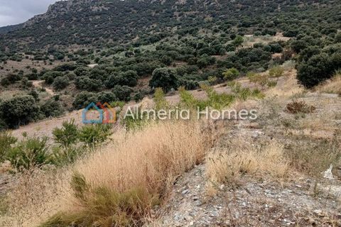 Landejendom i Sierro, Almeria, Sierro - € 175.000 | Ref: IX-14472 - foto 23