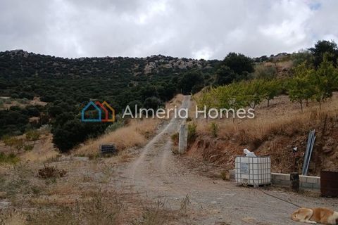Landejendom i Sierro, Almeria, Sierro - € 175.000 | Ref: IX-14472 - foto 25