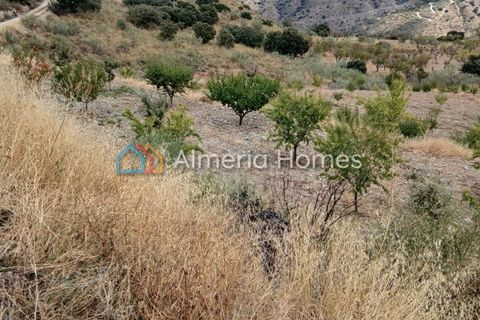Landejendom i Sierro, Almeria, Sierro - € 175.000 | Ref: IX-14472 - foto 26