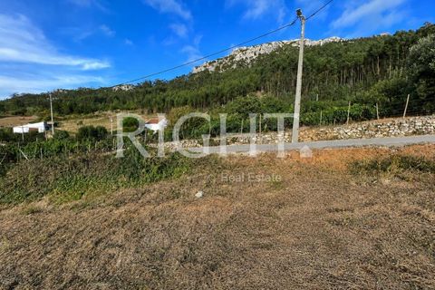 Helårsgrund i Cadaval, Lisbon, Cadaval - € 99.000 | Ref: TER_1427 - foto 2