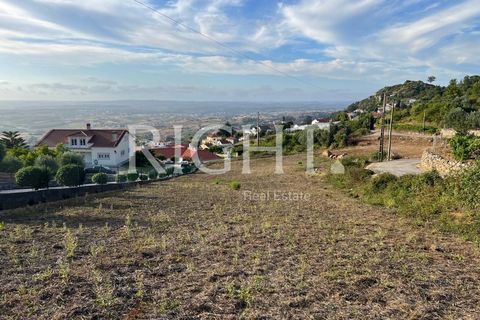 Helårsgrund i Cadaval, Lisbon, Cadaval - € 99.000 | Ref: TER_1427 - foto 3