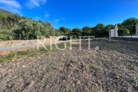 Helårsgrund i Cadaval, Lisbon, Cadaval - € 99.000 | Ref: TER_1427 - foto 5