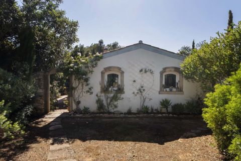 Villa i Tunes, Faro, Tunes - € 2.500.000 | Ref: AGM-MCD022 - foto 31