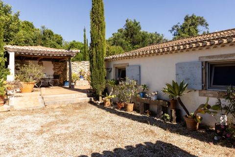 Villa i Tunes, Faro, Tunes - € 2.500.000 | Ref: AGM-MCD022 - foto 32