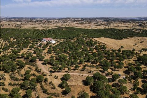 Farm i Ourique, Beja, Ourique - € 1.180.000 | Ref: MCD020 - foto 3