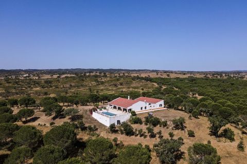 Farm i Ourique, Beja, Ourique - € 1.180.000 | Ref: MCD020 - foto 4