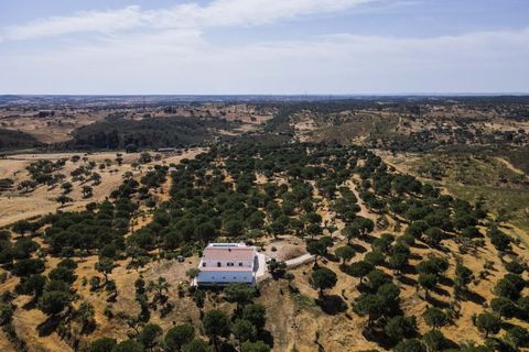 Farm i Ourique, Beja, Ourique - € 1.180.000 | Ref: MCD020 - foto 33