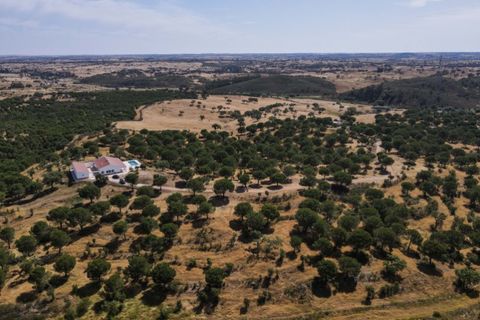 Farm i Ourique, Beja, Ourique - € 1.180.000 | Ref: MCD020 - foto 34
