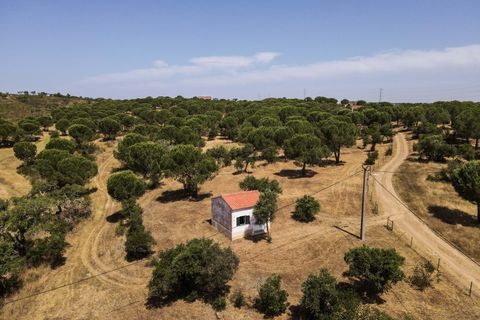 Farm i Ourique, Beja, Ourique - € 1.180.000 | Ref: MCD020 - foto 36