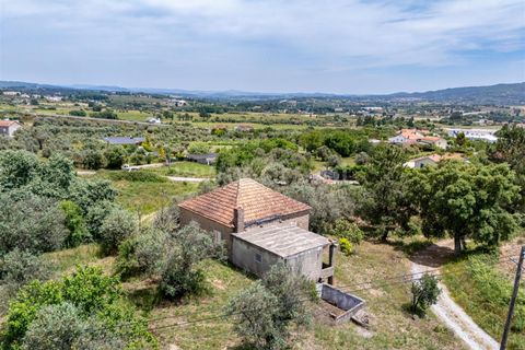 Landejendom i Covilha, Castelo Branco, Covilha - € 170.000 | Ref: 394260045 - foto 3