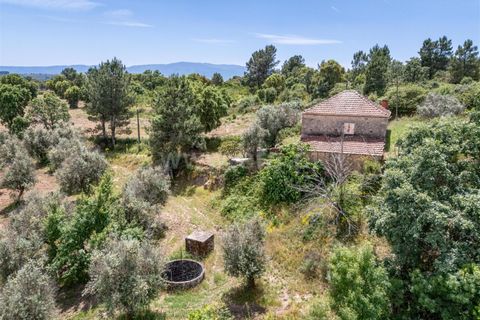 Landejendom i Covilha, Castelo Branco, Covilha - € 170.000 | Ref: 394260045 - foto 5