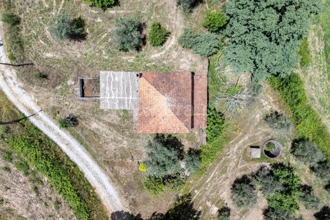 Landejendom i Covilha, Castelo Branco, Covilha - € 170.000 | Ref: 394260045 - foto 6