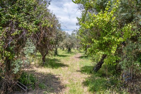 Landejendom i Covilha, Castelo Branco, Covilha - € 150.000 | Ref: 394260044 - foto 10