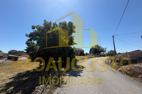 Helårsgrund i Guarda, Guarda, Guarda - € 32.150 | Ref: TER_2472 - foto 4