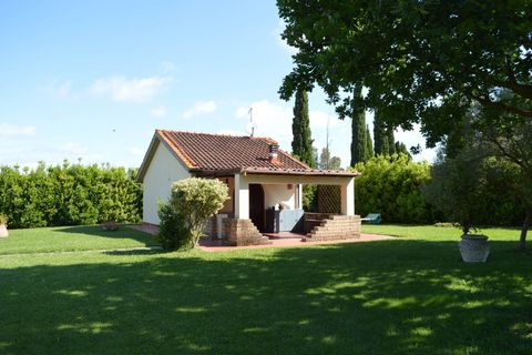 Landejendom i Cecina, Livorno, Cecina - € 1.280.000 | Ref: a9591mf146 - foto 10