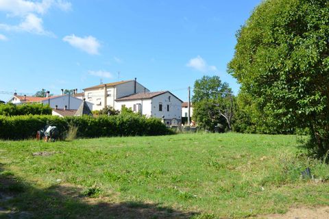 Landejendom i Cecina, Livorno, Cecina - € 1.280.000 | Ref: a9591mf146 - foto 16