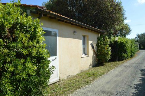 Landejendom i Cecina, Livorno, Cecina - € 1.280.000 | Ref: a9591mf146 - foto 28