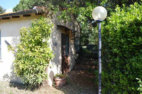 Landejendom i Cecina, Livorno, Cecina - € 1.280.000 | Ref: a9591mf146 - foto 30
