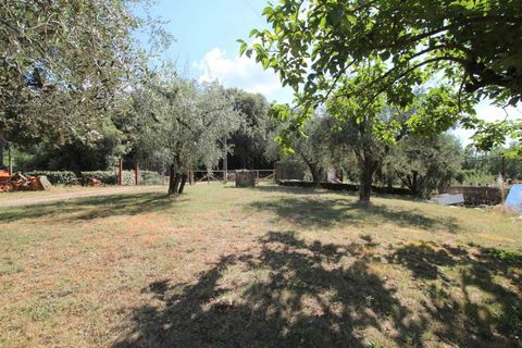 Gårdshus i Monteriggioni, Siena, Monteriggioni - € 1 600 000 | Ref: a6292ta2569360a - foto 6