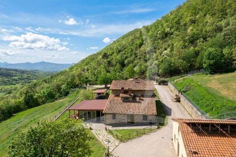 Farm hus i Sansepolcro, Arezzo, Sansepolcro - € 1.200.000 | Ref: a1190ta12837 - foto 6