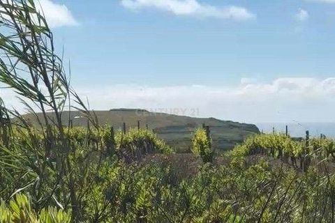 Helårsgrund i Mafra, Lisbon, Mafra - € 430.000 | Ref: C0484-00522 - foto 3