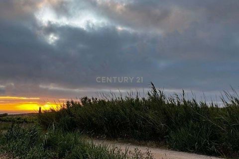 Helårsgrund i Mafra, Lisbon, Mafra - € 430.000 | Ref: C0484-00522 - foto 7