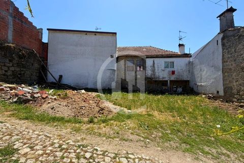 Tomt i Treixedo e Nagozela, Viseu, Treixedo e Nagozela - € 19 000 | Ref: SÒL_224 - foto 2