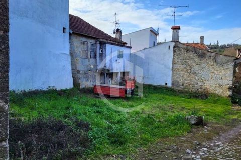 Tomt i Treixedo e Nagozela, Viseu, Treixedo e Nagozela - € 19 000 | Ref: SÒL_224 - foto 3