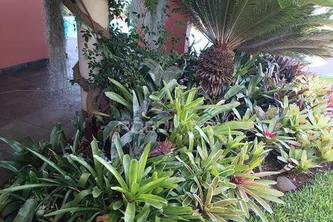 Byhus i Funchal, Madeira, Funchal - € 1.750.000 | Ref: 043563 - foto 9