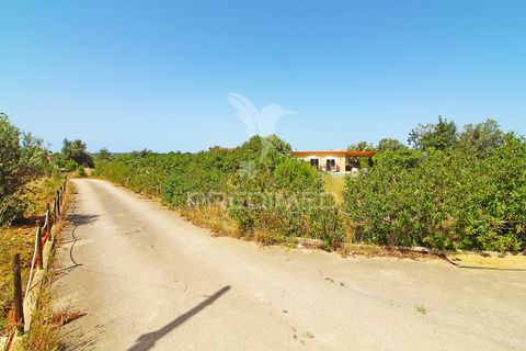 Byhus i Silves, Faro, Silves - € 1.080.000 | Ref: 061104 - foto 31