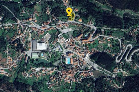 Tomt i Mealhada, Aveiro, Mealhada - € 181 000 | Ref: 061046 - foto 3