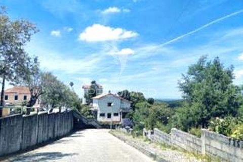 Tomt i Mealhada, Aveiro, Mealhada - € 181 000 | Ref: 061046 - foto 4