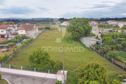 Helårsgrund i Agueda, Aveiro, Agueda - € 82.000 | Ref: 061058 - foto 1