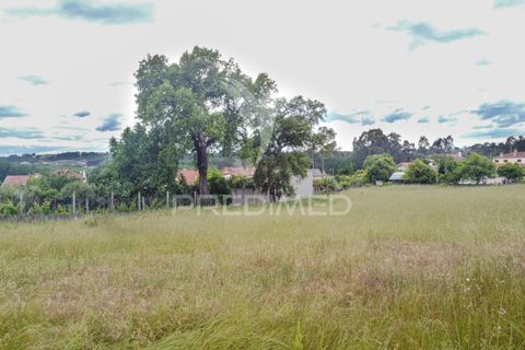 Helårsgrund i Agueda, Aveiro, Agueda - € 82.000 | Ref: 061058 - foto 3