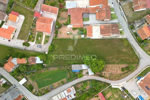 Helårsgrund i Agueda, Aveiro, Agueda - € 82.000 | Ref: 061058 - foto 6