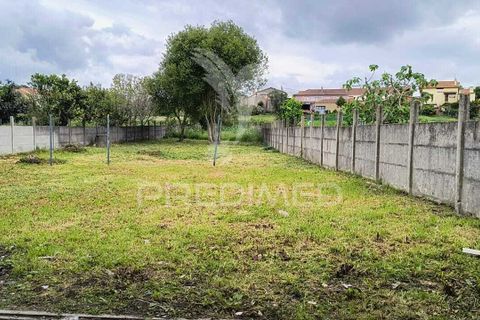 Byhus i Estarreja, Aveiro, Estarreja - € 295.000 | Ref: 061059 - foto 6