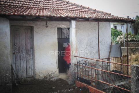 Landejendom i Vila Real, Vila Real, Vila Real - € 58.000 | Ref: 061054 - foto 15