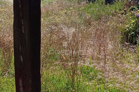 Byhus i Portalegre, Portalegre, Portalegre - € 94.000 | Ref: 061126 - foto 8