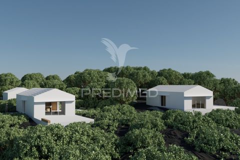 Helårsgrund i Sao Roque do Pico, Pico, Sao Roque do Pico - € 100.000 | Ref: 061129 - foto 1