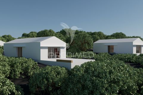 Helårsgrund i Sao Roque do Pico, Pico, Sao Roque do Pico - € 100.000 | Ref: 061129 - foto 2