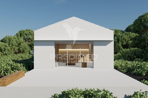 Helårsgrund i Sao Roque do Pico, Pico, Sao Roque do Pico - € 100.000 | Ref: 061129 - foto 5