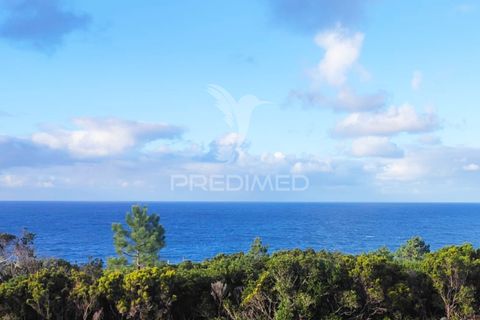 Helårsgrund i Sao Roque do Pico, Pico, Sao Roque do Pico - € 100.000 | Ref: 061129 - foto 17