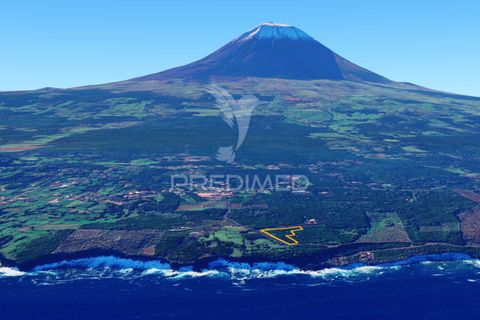 Helårsgrund i Sao Roque do Pico, Pico, Sao Roque do Pico - € 100.000 | Ref: 061129 - foto 18