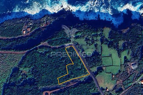 Helårsgrund i Sao Roque do Pico, Pico, Sao Roque do Pico - € 100.000 | Ref: 061129 - foto 19