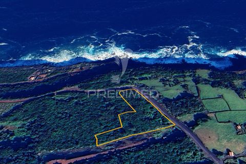 Helårsgrund i Sao Roque do Pico, Pico, Sao Roque do Pico - € 100.000 | Ref: 061129 - foto 20
